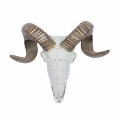 Cheap ๐ฅฐ Grayson Lane 12-in H x 14-in W Farmhouse Skull Resin Wall Accent ๐