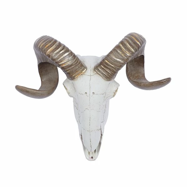 Cheap 🥰 Grayson Lane 12-in H x 14-in W Farmhouse Skull Resin Wall Accent 🌟 1 Cheap 🥰 Grayson Lane 12-in H x 14-in W Farmhouse Skull Resin Wall Accent 🌟