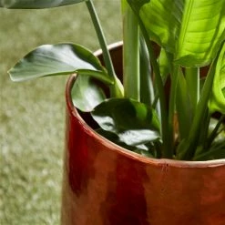 Best reviews of 🌟 Grayson Lane 10-in W x 13-in H Glam Copper Metal Round Planters - Set of 3 😍 -GRAYSON LANE Sales 2022 330945011 AlternateImage3 l