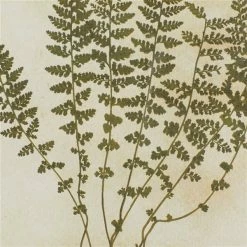 Cheapest 😀 Grayson Lane Brown Wood Framed 27-in H x 20-in W Botanical Wood Print - Set of 2 ❤️ -GRAYSON LANE Sales 2022 330945152 AlternateImage4 l