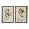 Cheapest 😀 Grayson Lane Brown Wood Framed 27-in H x 20-in W Botanical Wood Print - Set of 2 ❤️