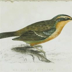 Best reviews of 🛒 Grayson Lane Brown Wood Framed 23-in H x 27-in W Farmhouse Birds Wood Print - Set of 2 🔥 -GRAYSON LANE Sales 2022 330945238 AlternateImage4 l